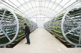 农夫导航：探索精准农业的新方法与技巧