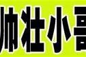探索大熊猫：成人导航与保护知识的完美结合