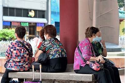 探寻成人福利：彻底解读合法权益与服务平台