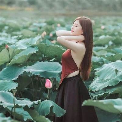 大人导航：探索成人世界的多元选择与资讯