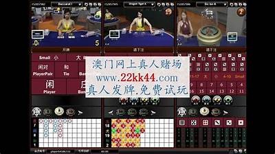 探索精彩成人赌博直播导航，畅享无限娱乐体验！