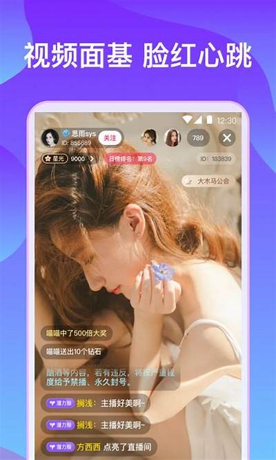 新猫咪成人社区：打造温馨归属感的猫咪交流平台
